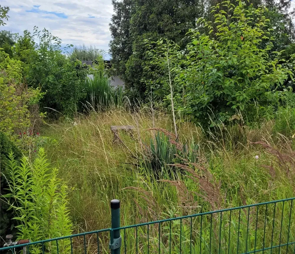 Vorher: verwildertes Grundstück mit hohem Gras hinter einem Gitterzaun